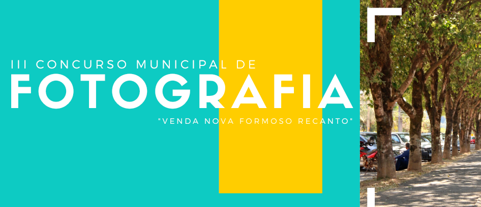 imagem da noticia