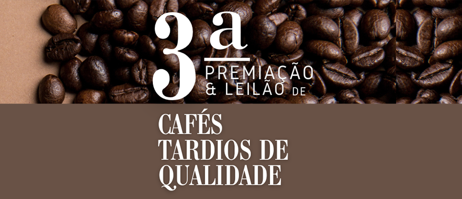imagem da noticia