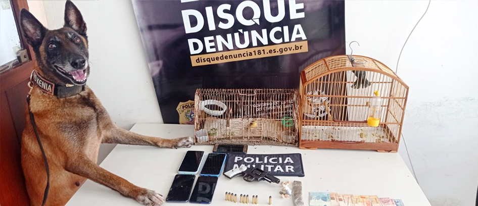 imagem da noticia