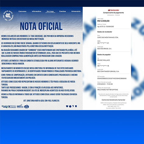 imagem do artigo