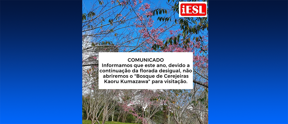 imagem da noticia