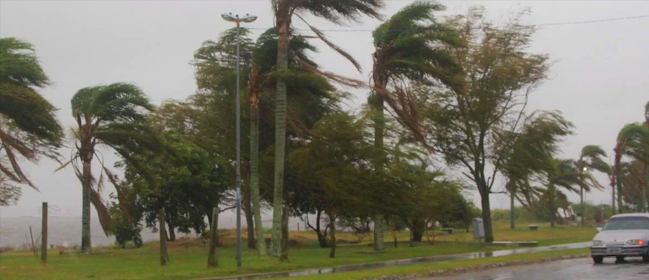 imagem da noticia