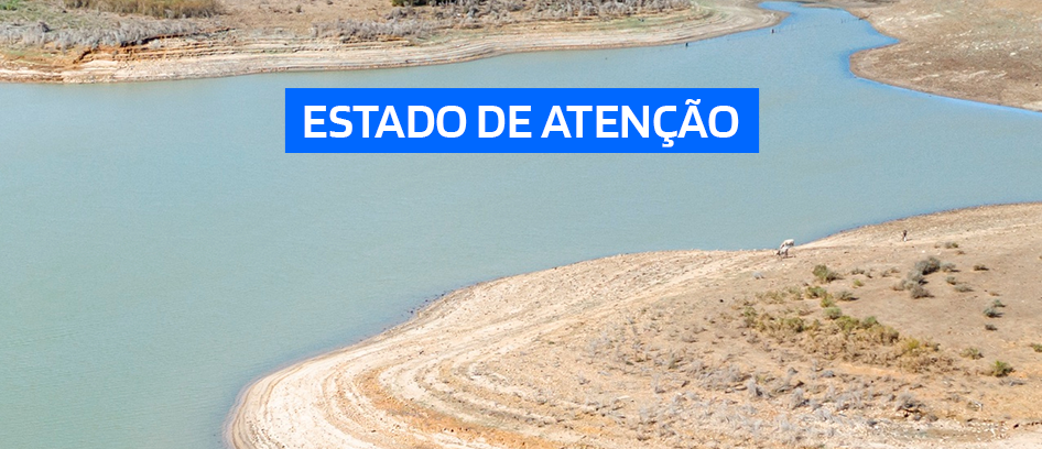 imagem da noticia