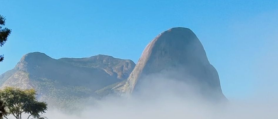 imagem da noticia