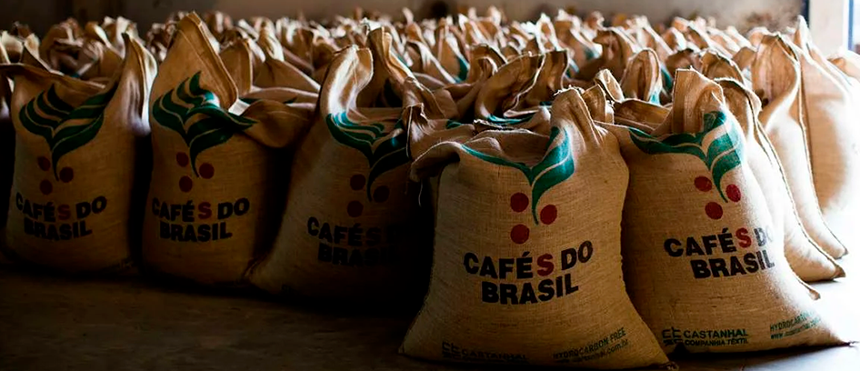 imagem da noticia