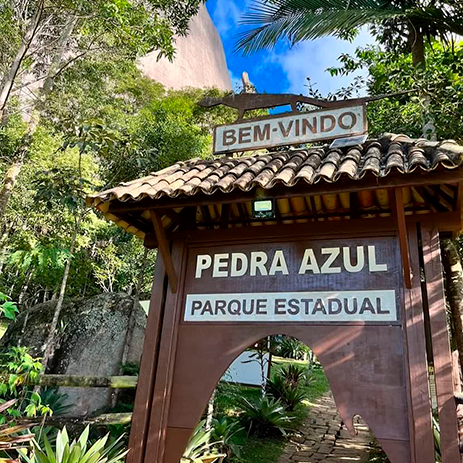 imagem do artigo
