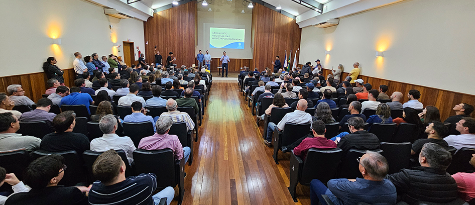 imagem da noticia