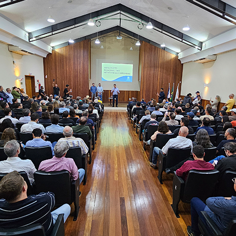 imagem do artigo