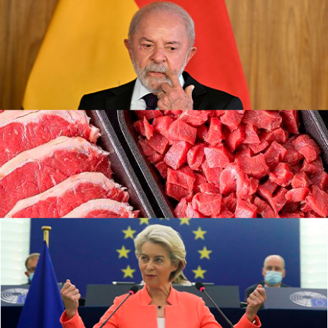 imagem do artigo