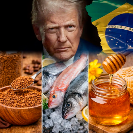 imagem do artigo