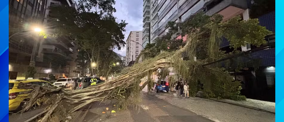 imagem da noticia
