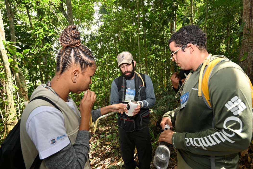 Curso internacional aborda determinantes ecológicos de doenças transmitidas por insetos
